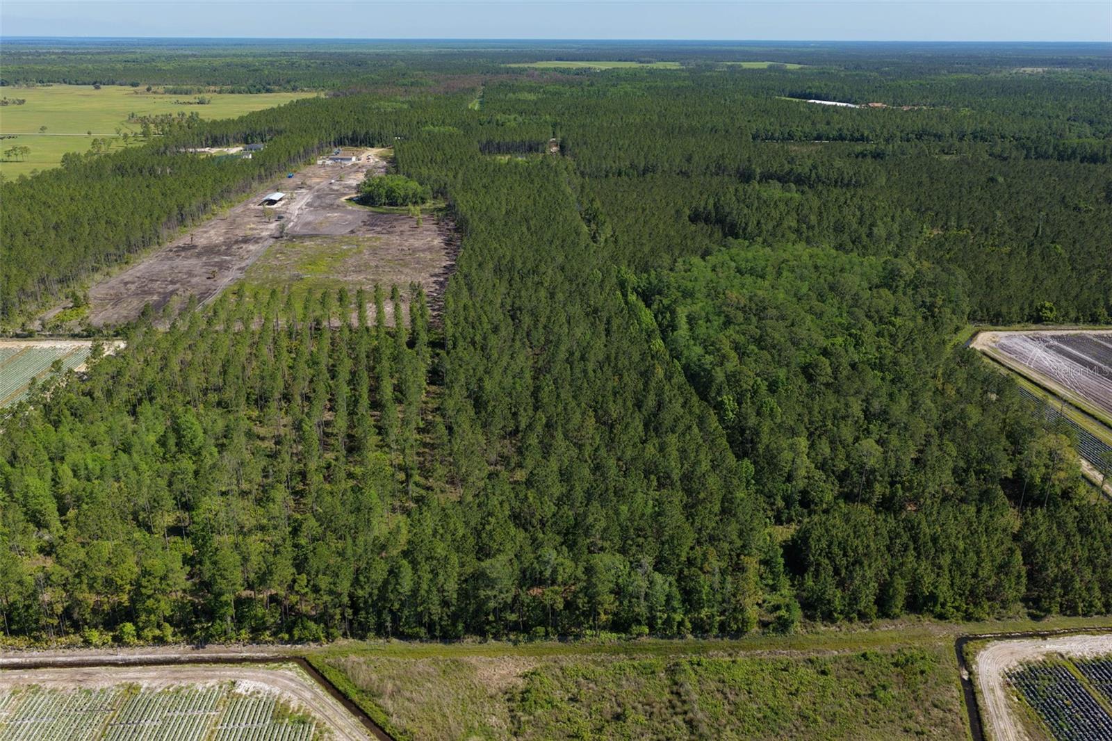 15539 COUNTY RD 305, BUNNELL, FL, 32110