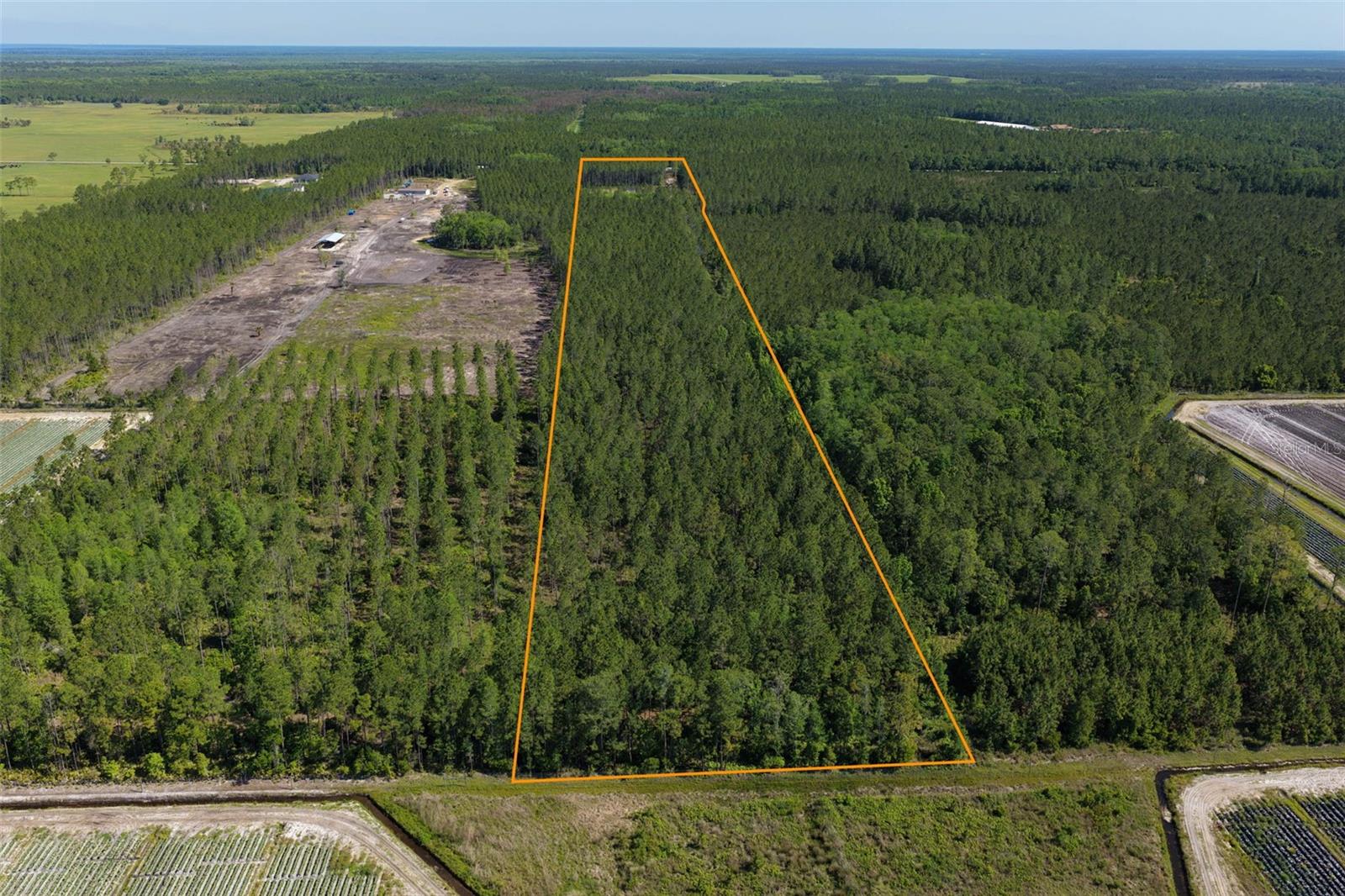 15539 COUNTY RD 305, BUNNELL, FL, 32110