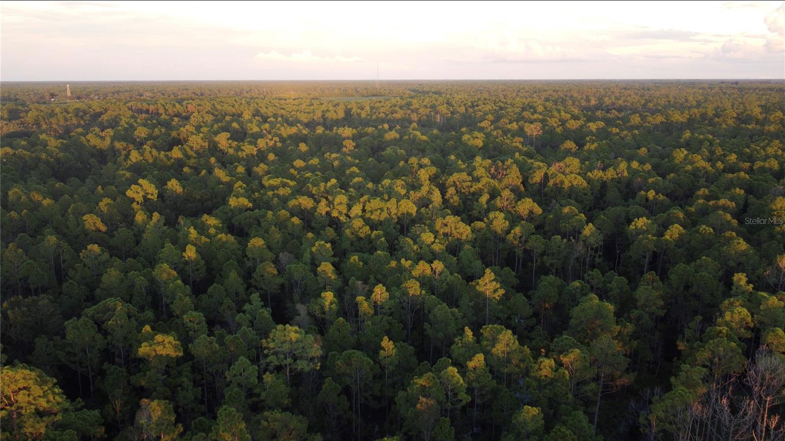 13554 SANTA MARIA DR, PUNTA GORDA, FL, 33955