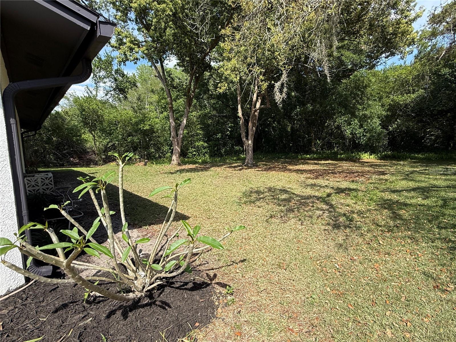 10501 HARDWOOD CT, PORT RICHEY, FL, 34668