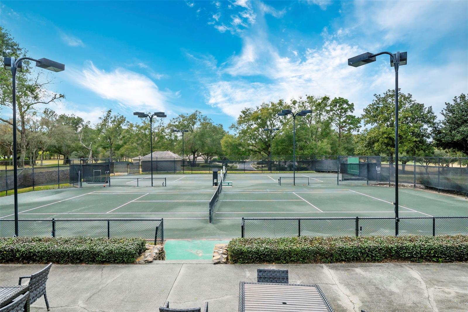 3975 N GRAYHAWK LOOP, LECANTO, FL, 34461