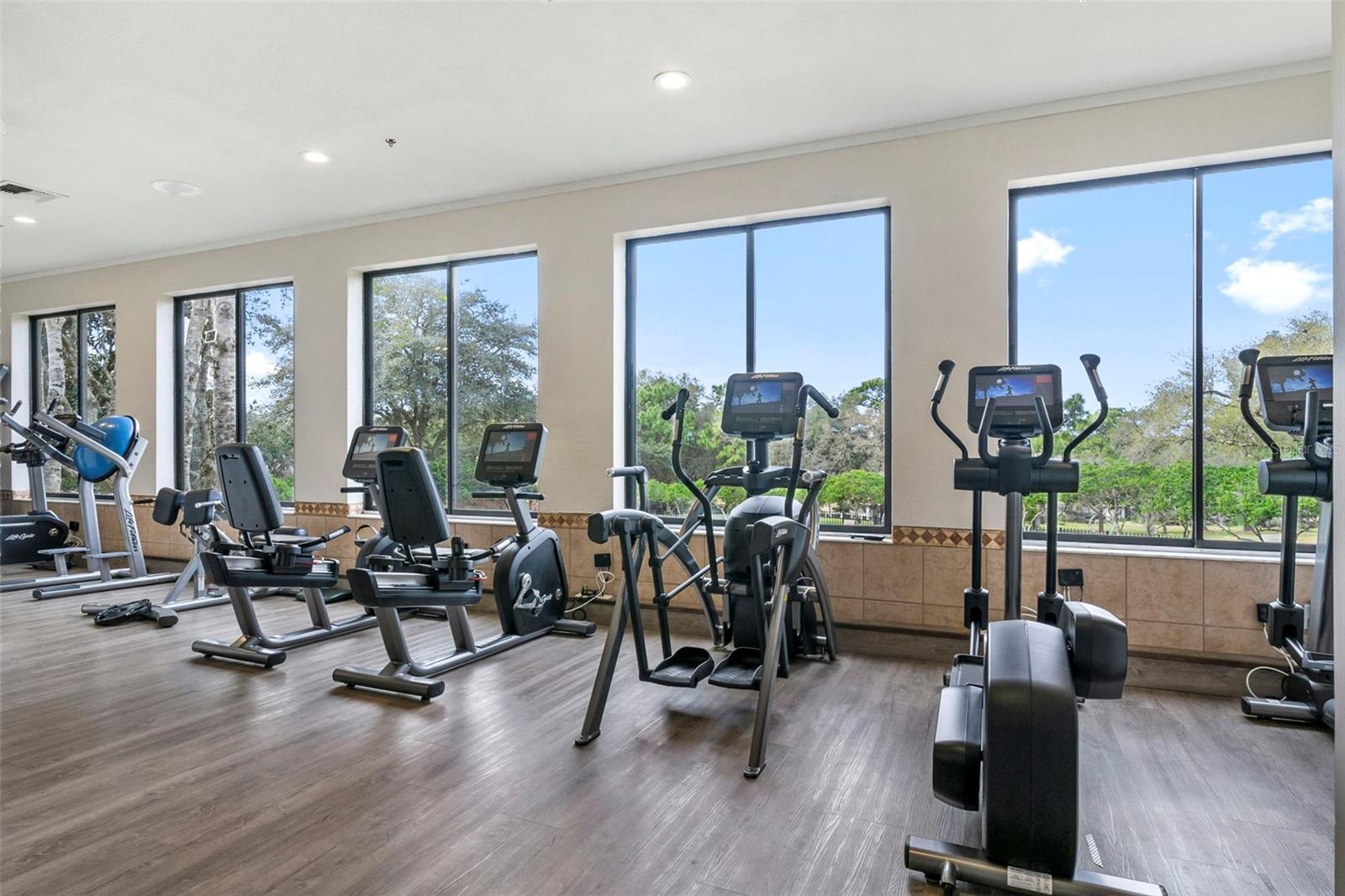 3975 N GRAYHAWK LOOP, LECANTO, FL, 34461