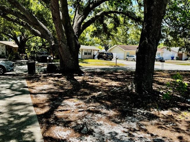 3073 PINE TREE AVE, LARGO, FL, 33771