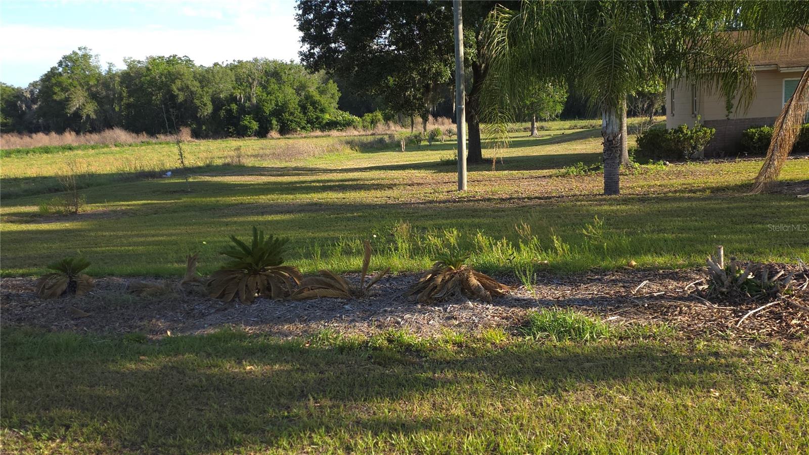 5205 HORTON RD, PLANT CITY, FL, 33567