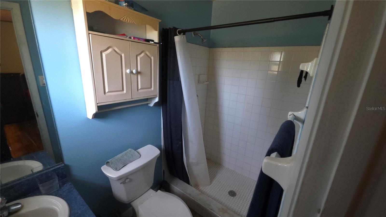 5205 HORTON RD, PLANT CITY, FL, 33567