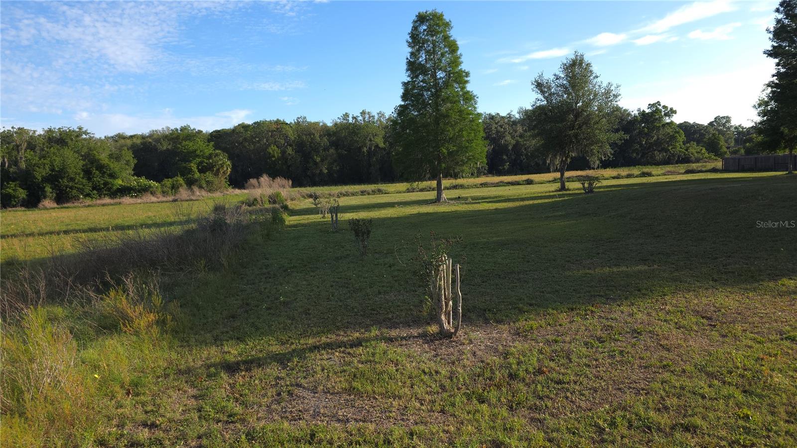 5205 HORTON RD, PLANT CITY, FL, 33567