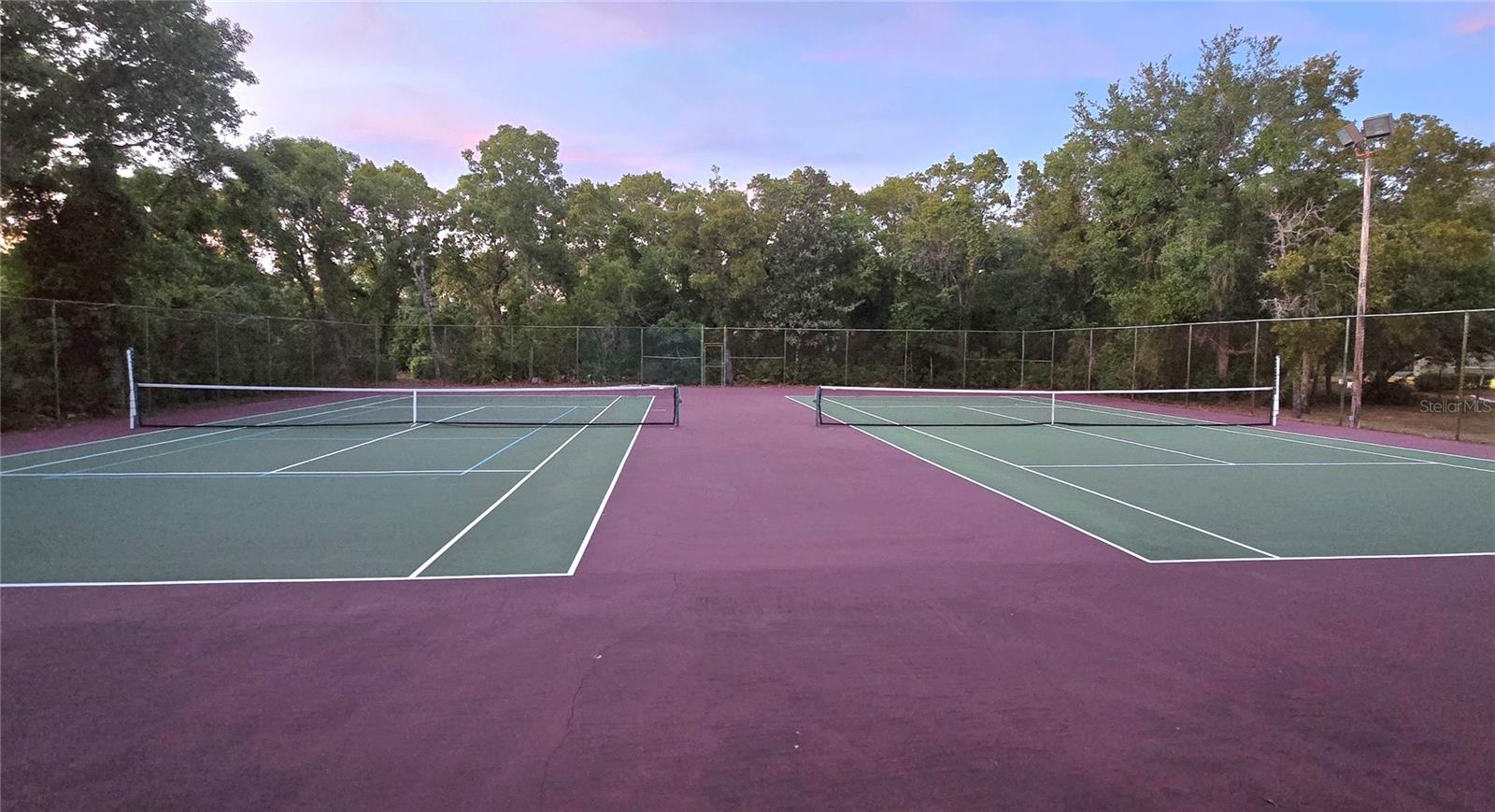 13635 MUFFIN CT, HUDSON, FL, 34667