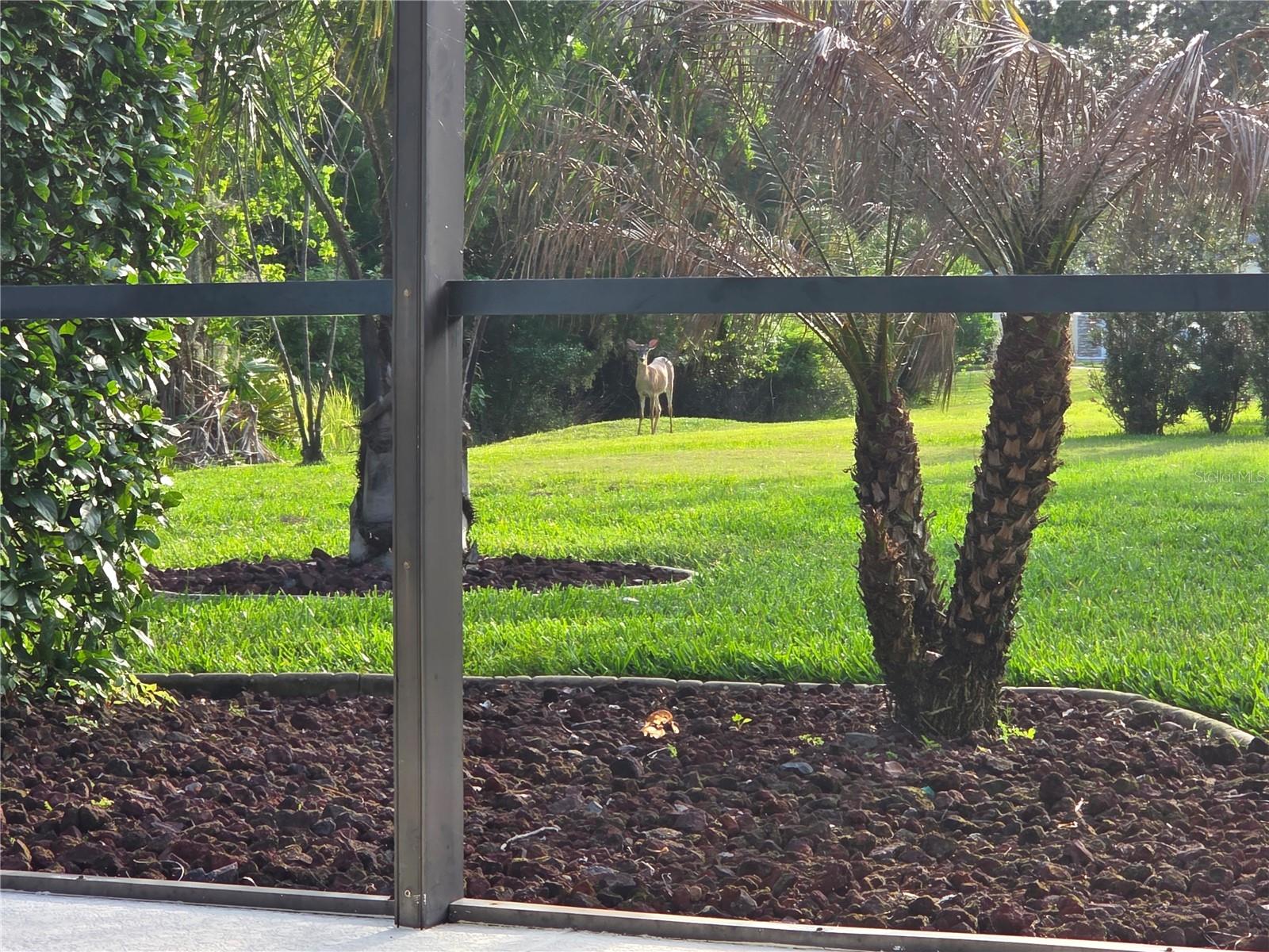 3785 HAMMONDS FERRY CT, OVIEDO, FL, 32766