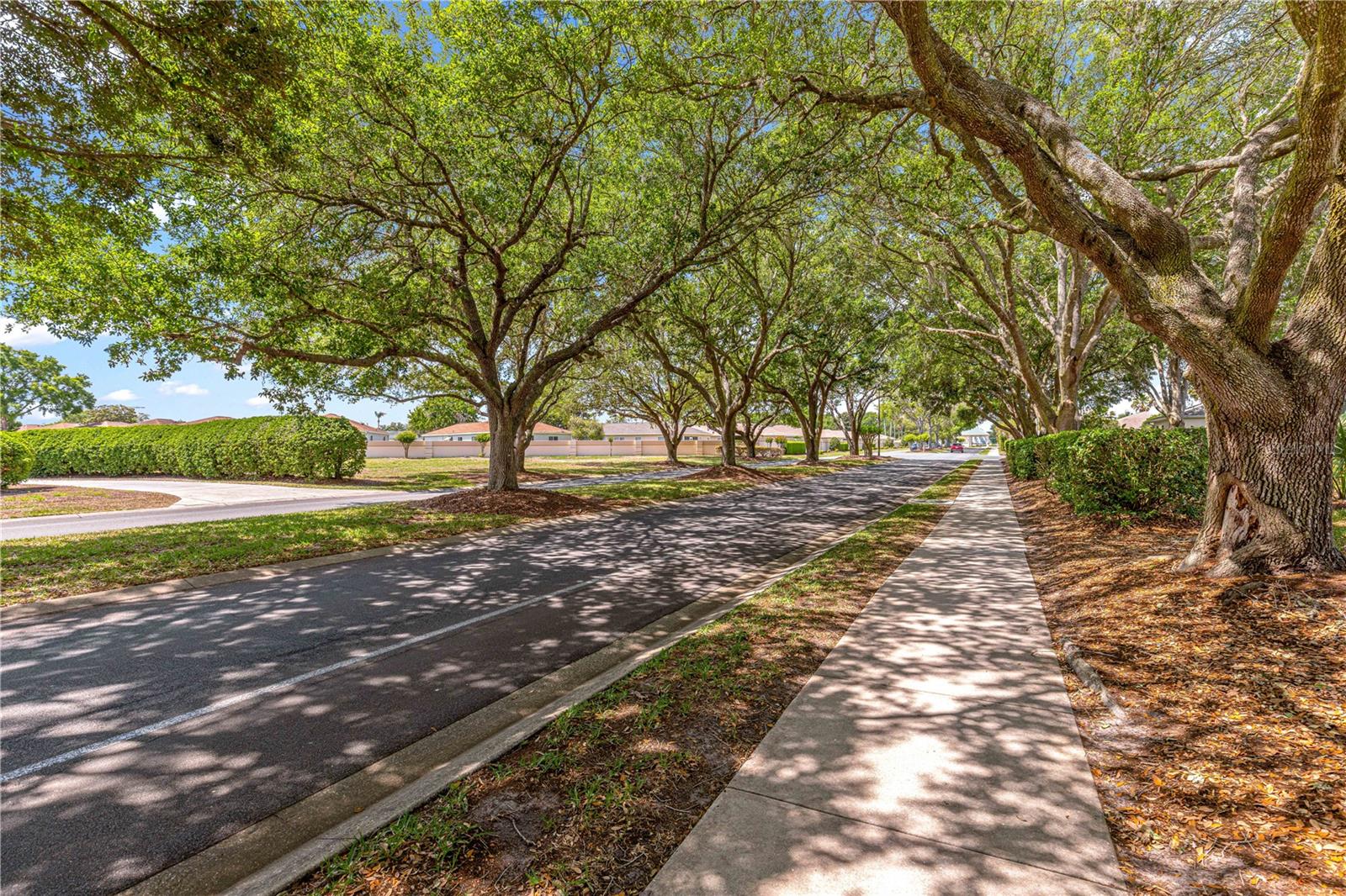 8660 SE 140TH PLACE RD, SUMMERFIELD, FL, 34491