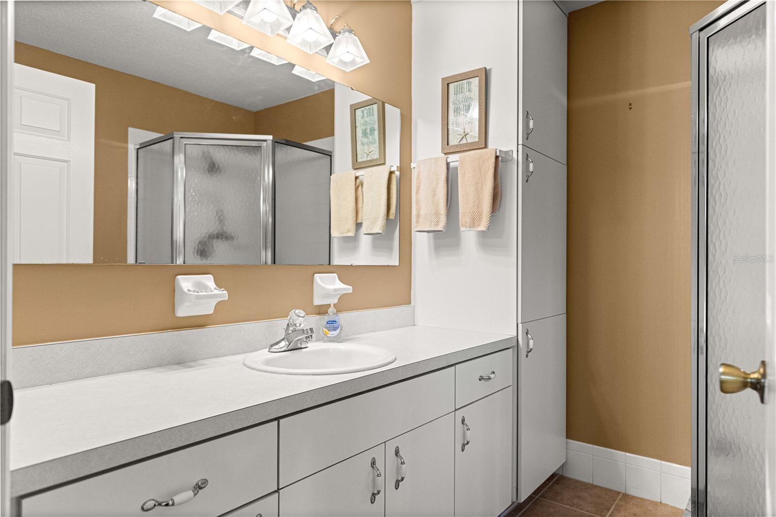 8660 SE 140TH PLACE RD, SUMMERFIELD, FL, 34491