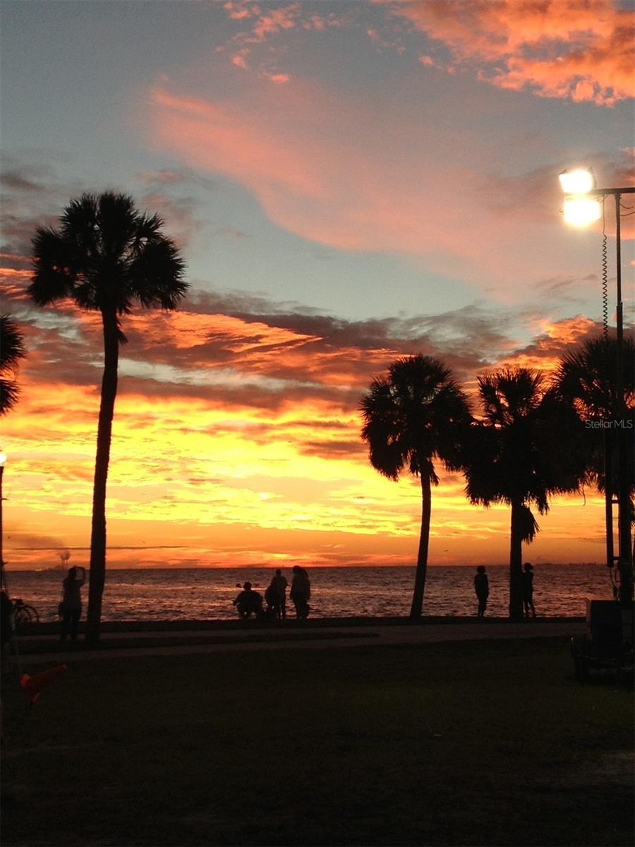 5635 24TH AVE N, ST PETERSBURG, FL, 33710