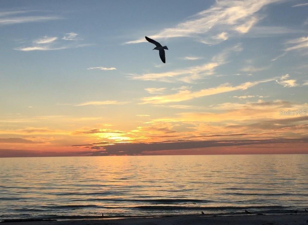 5635 24TH AVE N, ST PETERSBURG, FL, 33710