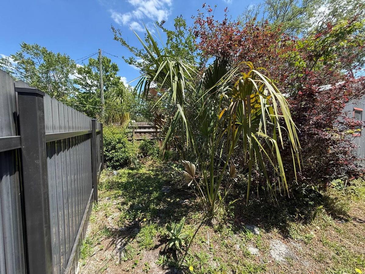 3819 MIRUELO CIR S, JACKSONVILLE, FL, 32217