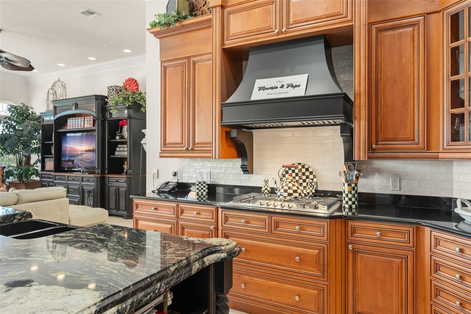 12699 HAWKSTONE DR, WINDERMERE, FL, 34786