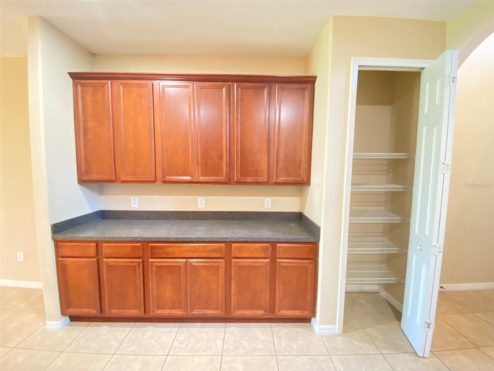 519 TERRACE SPRING DR, ORLANDO, FL, 32828