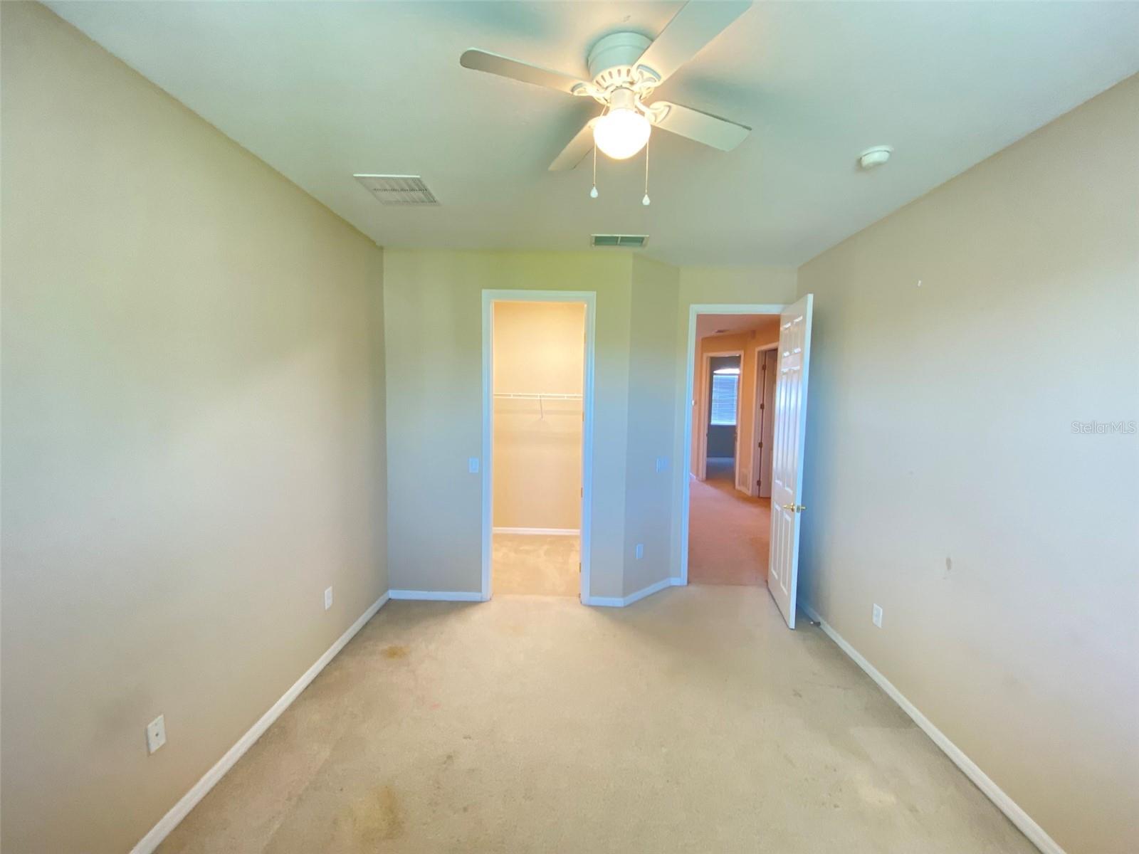 519 TERRACE SPRING DR, ORLANDO, FL, 32828