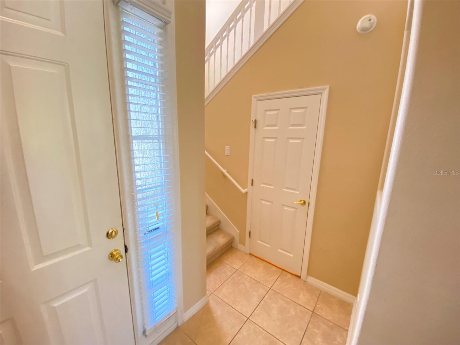 519 TERRACE SPRING DR, ORLANDO, FL, 32828