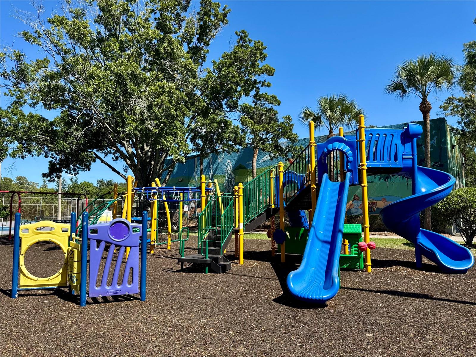 2904 NIPAWIN CT, ORLANDO, FL, 32837