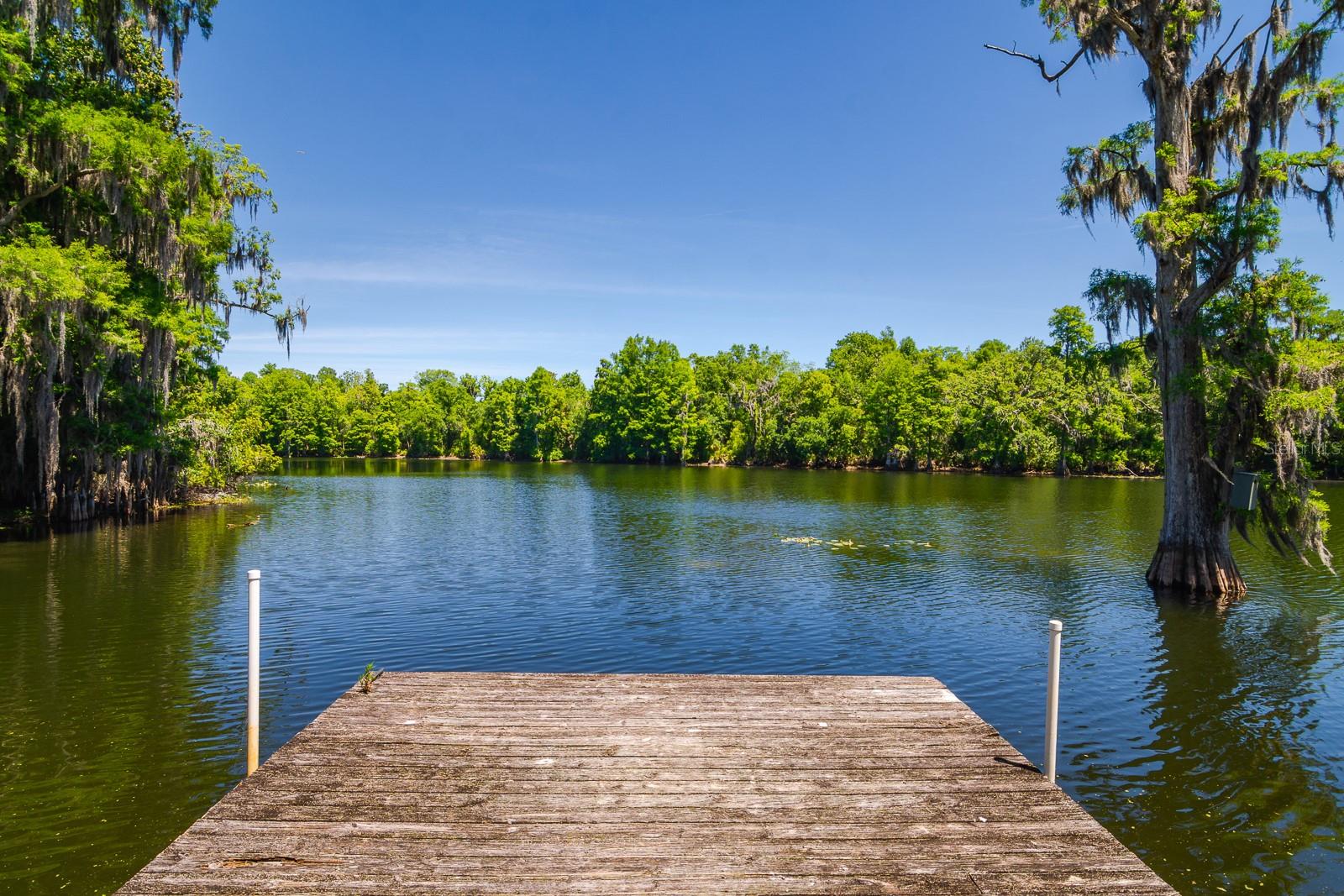 608 VANDERBAKER RD, TEMPLE TERRACE, FL, 33617