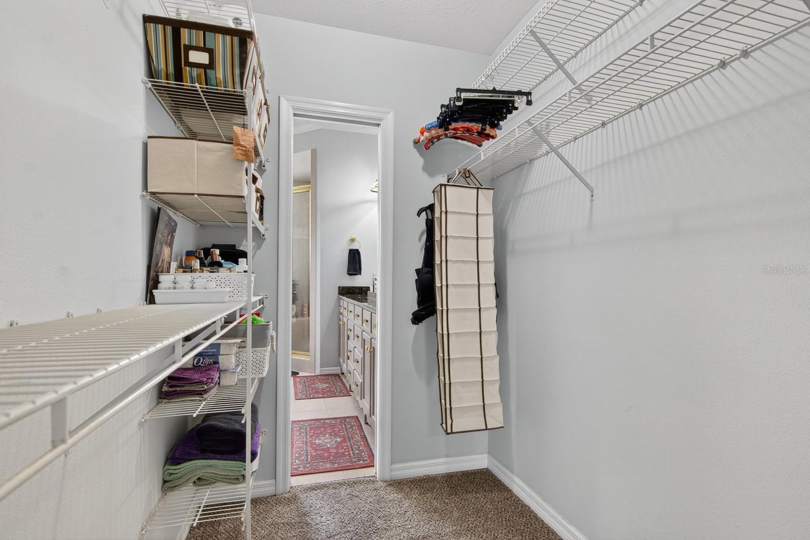 608 VANDERBAKER RD, TEMPLE TERRACE, FL, 33617