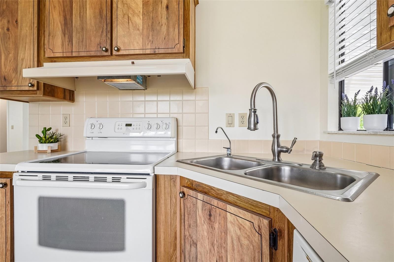 1616 W SCHWARTZ BLVD, THE VILLAGES, FL, 32159