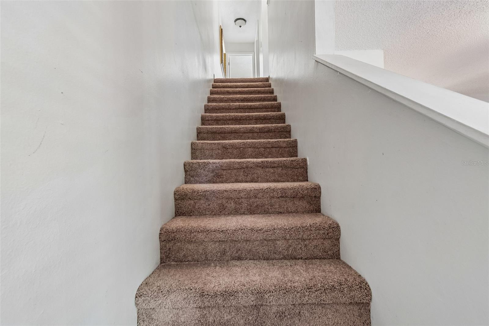 5156 SUNRIDGE PALMS DR, TAMPA, FL, 33617