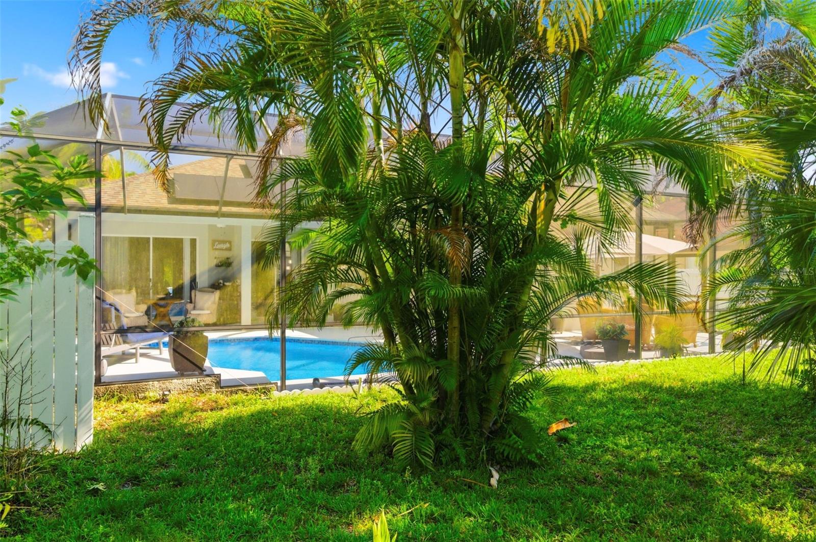 8530 ORSI CT, TRINITY, FL, 34655