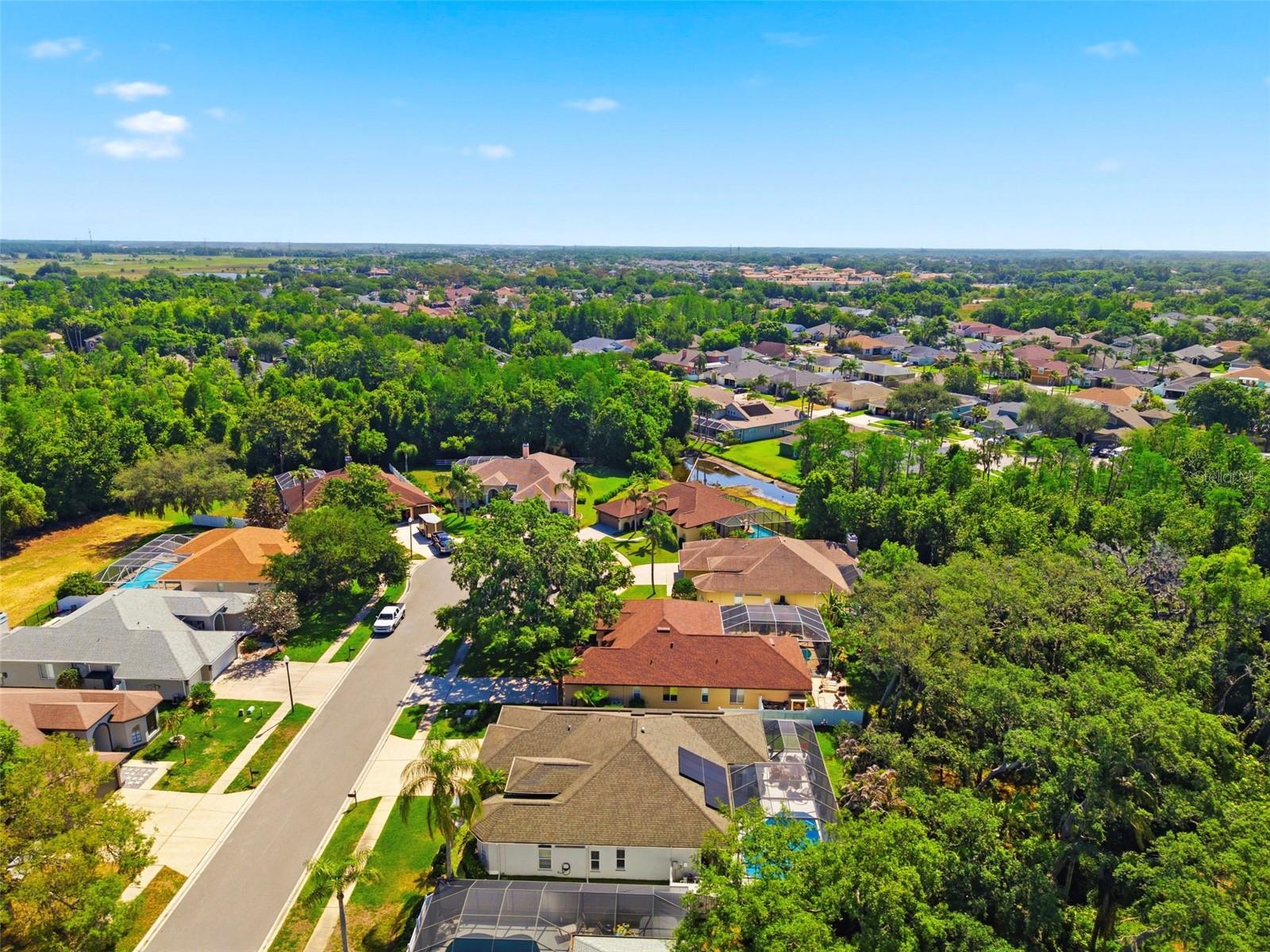 8530 ORSI CT, TRINITY, FL, 34655