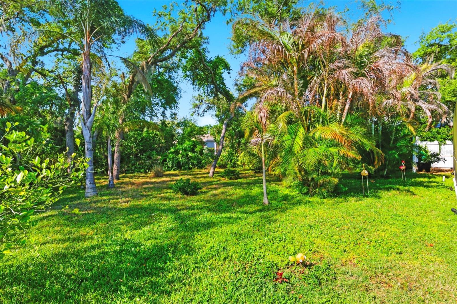 8530 ORSI CT, TRINITY, FL, 34655