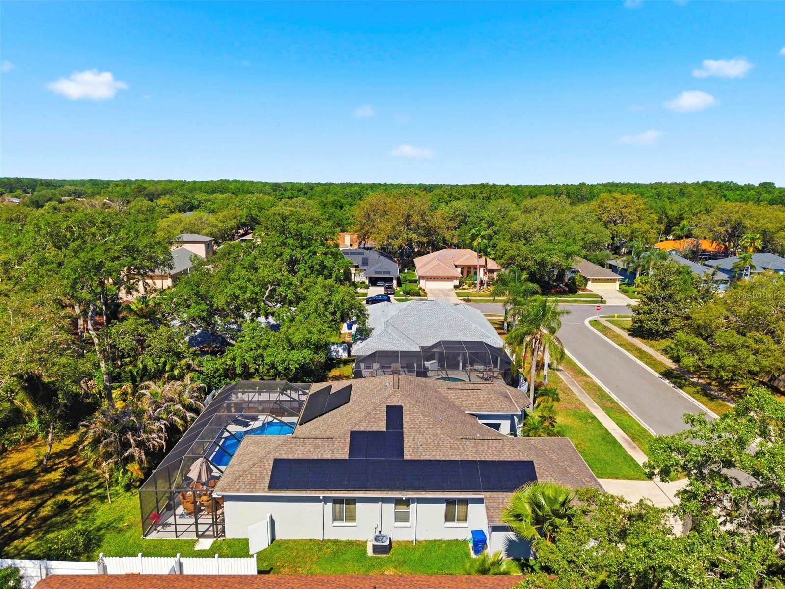 8530 ORSI CT, TRINITY, FL, 34655