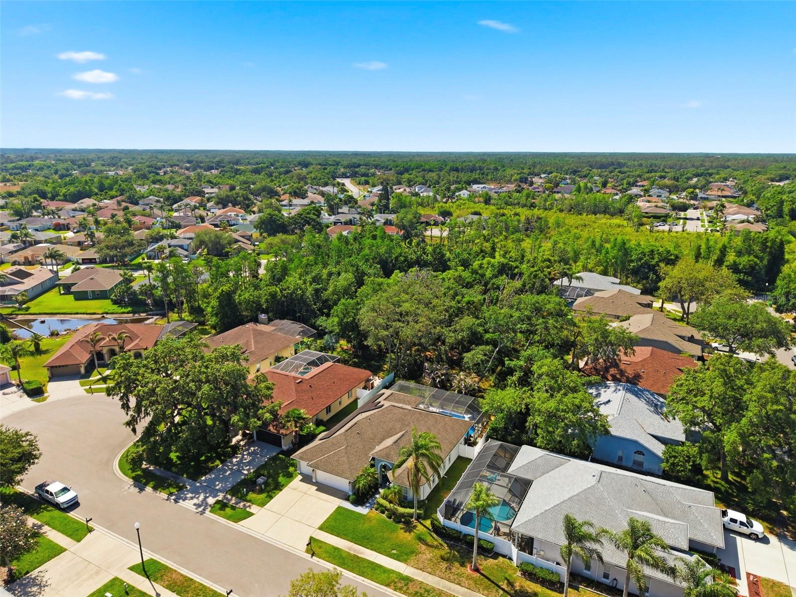 8530 ORSI CT, TRINITY, FL, 34655