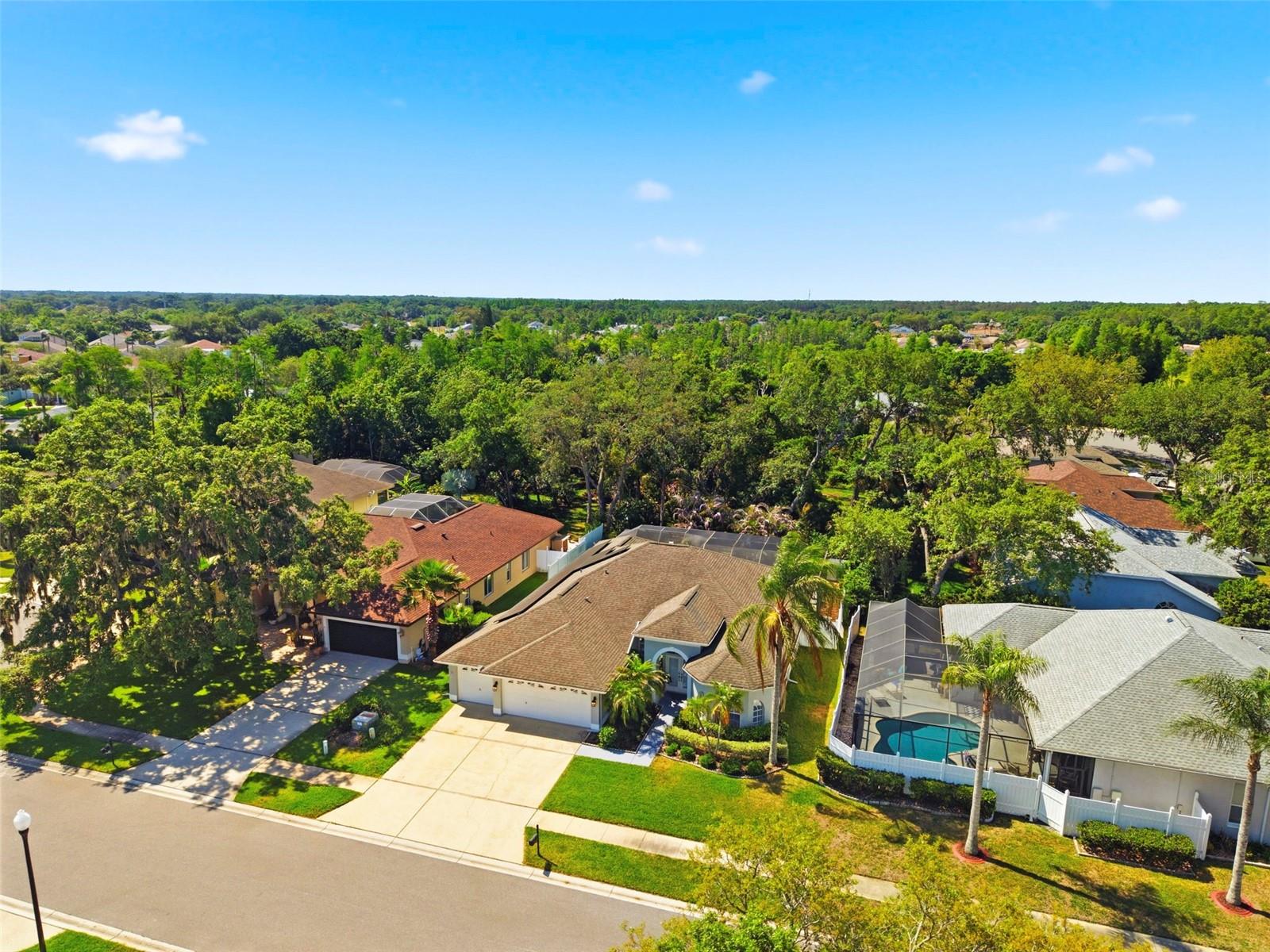 8530 ORSI CT, TRINITY, FL, 34655