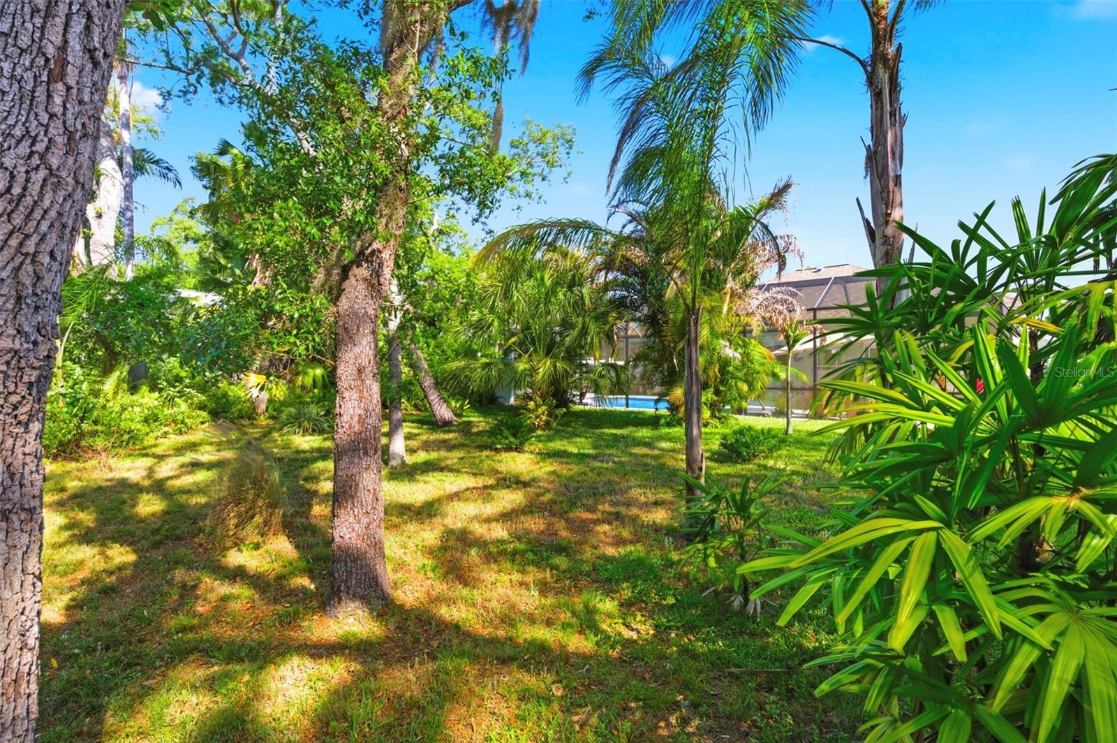 8530 ORSI CT, TRINITY, FL, 34655