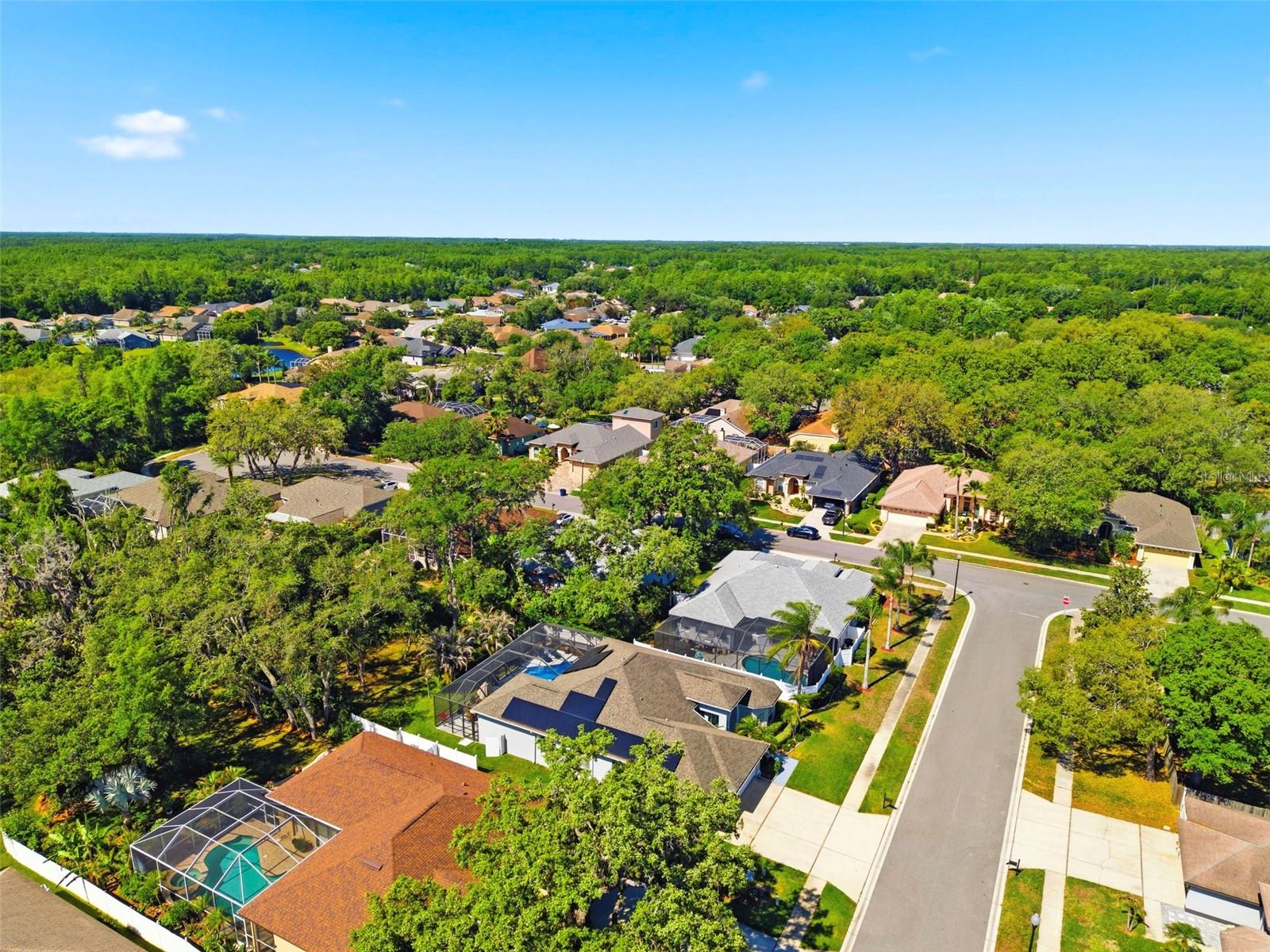 8530 ORSI CT, TRINITY, FL, 34655