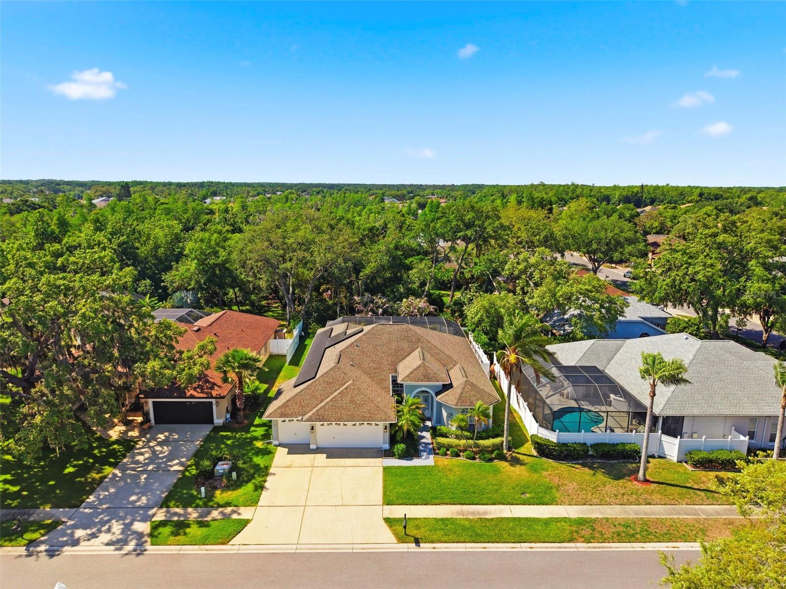 8530 ORSI CT, TRINITY, FL, 34655