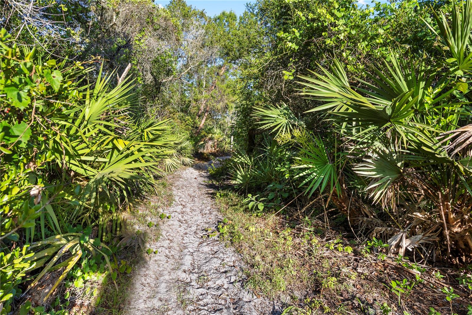 1140 GALLANT FOX WAY, CHULUOTA, FL, 32766