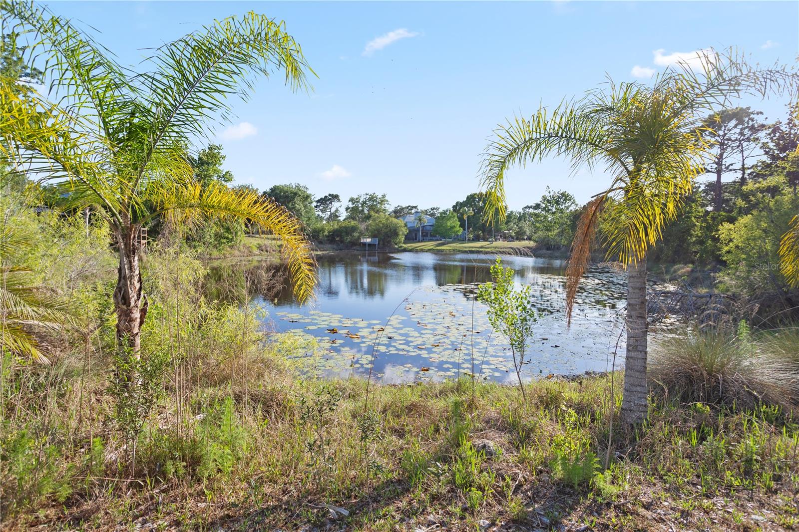 1140 GALLANT FOX WAY, CHULUOTA, FL, 32766