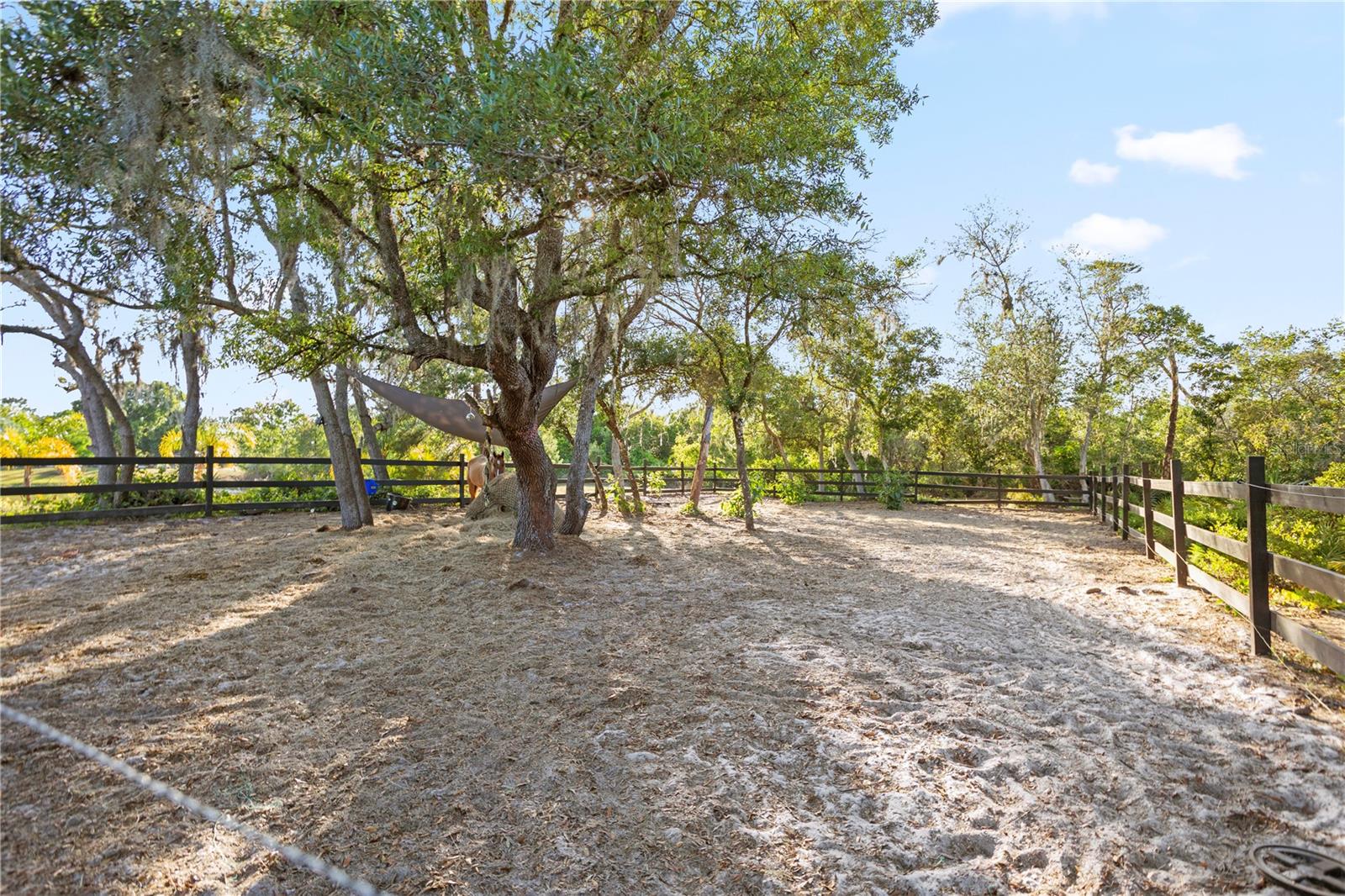 1140 GALLANT FOX WAY, CHULUOTA, FL, 32766