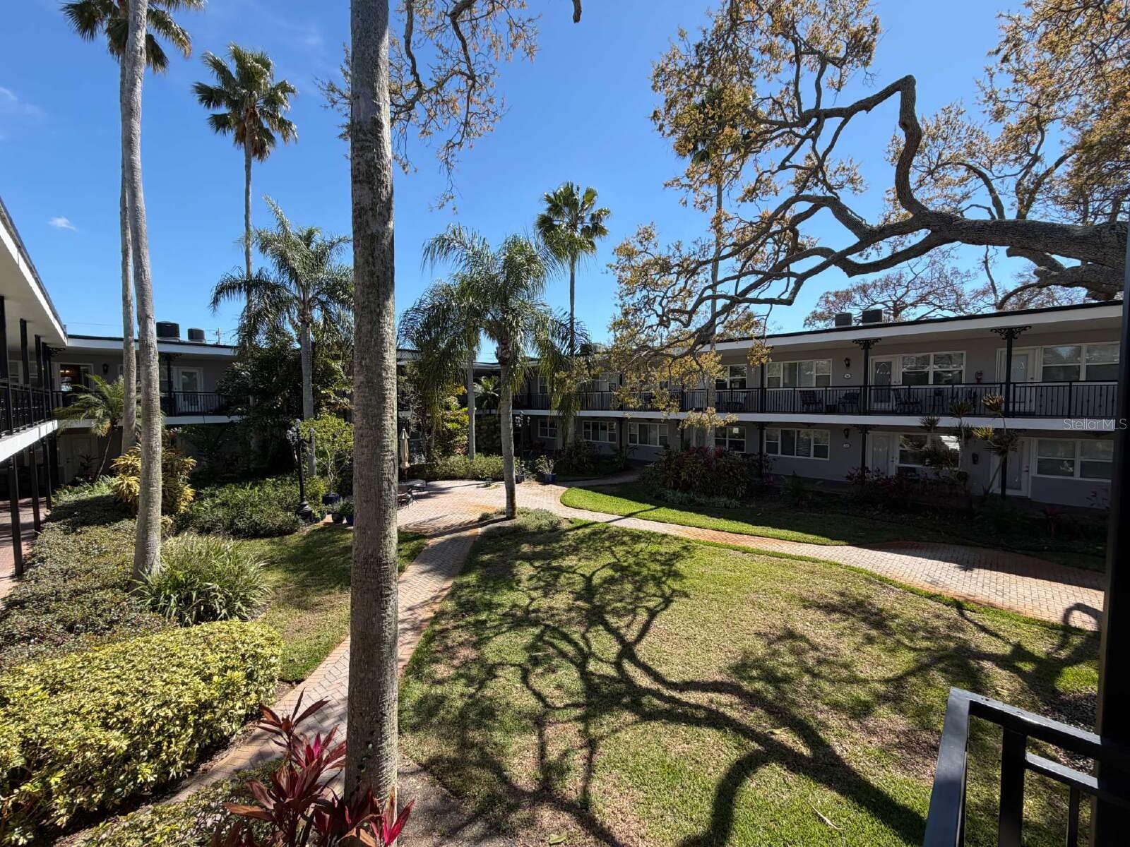 1101 VICTORIA DR #23, DUNEDIN, FL, 34698