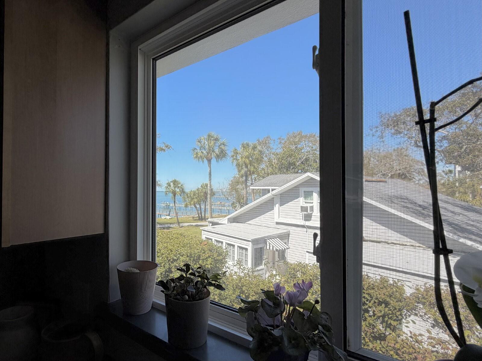 1101 VICTORIA DR #23, DUNEDIN, FL, 34698