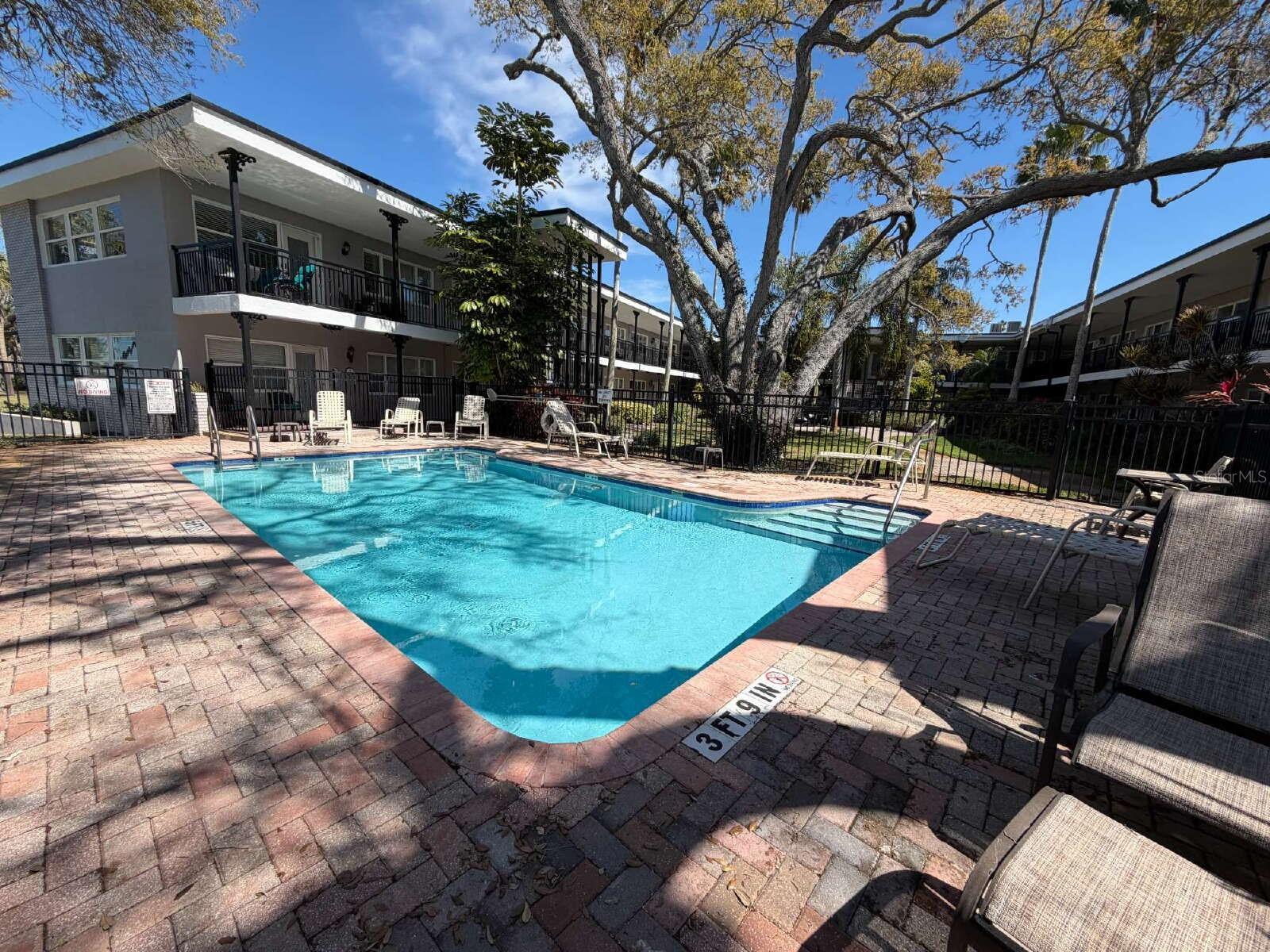 1101 VICTORIA DR #23, DUNEDIN, FL, 34698