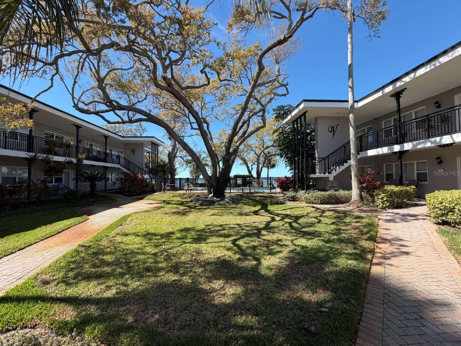 1101 VICTORIA DR #23, DUNEDIN, FL, 34698