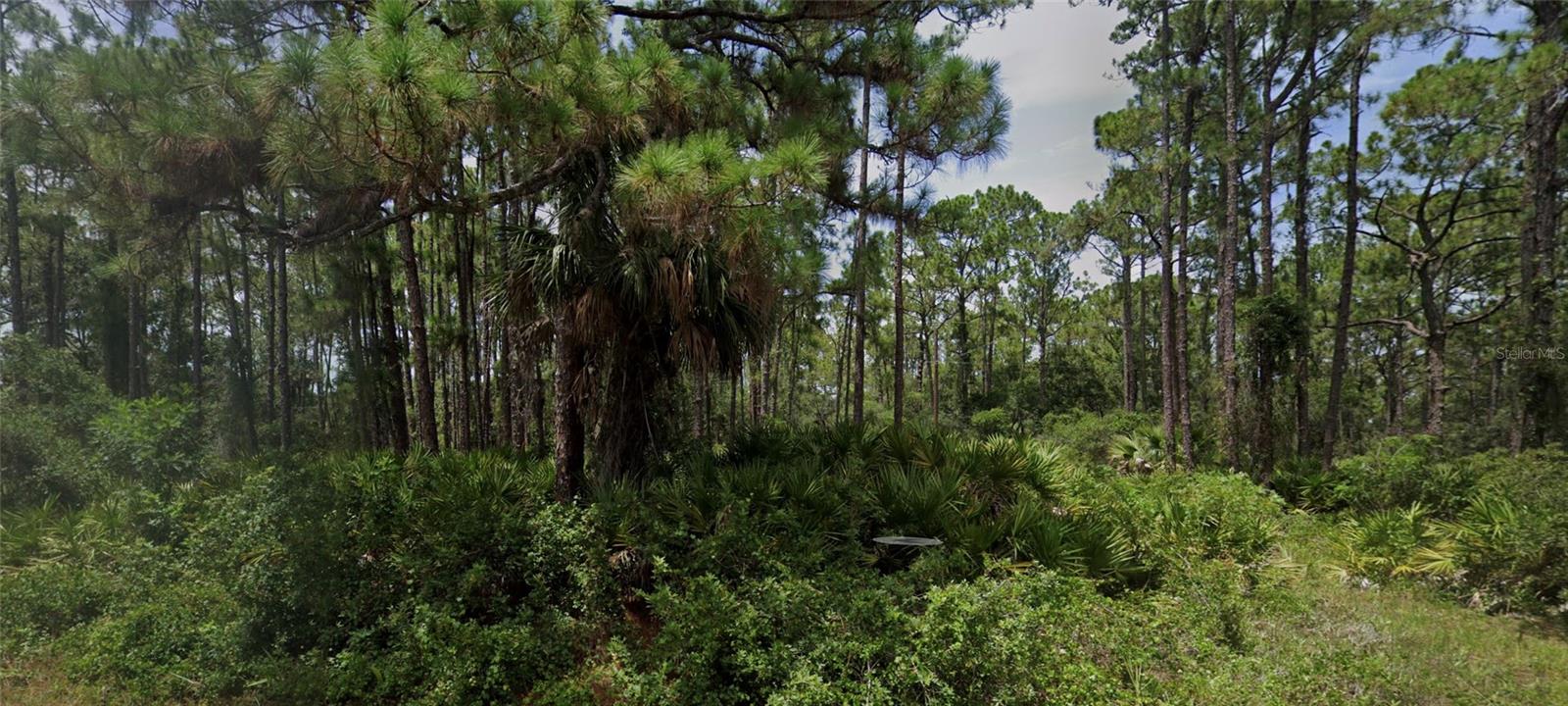 13124 WOOLARD AVE, PORT CHARLOTTE, FL, 33953