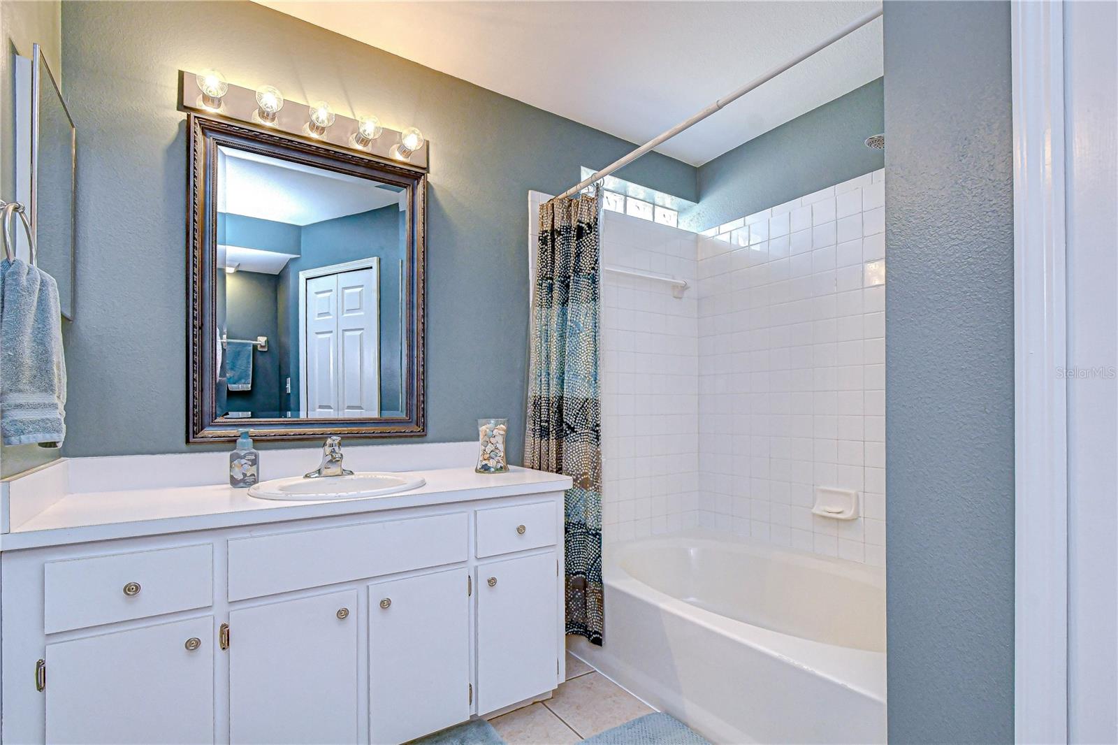 707 ORCHARD ISLE CT, VALRICO, FL, 33594