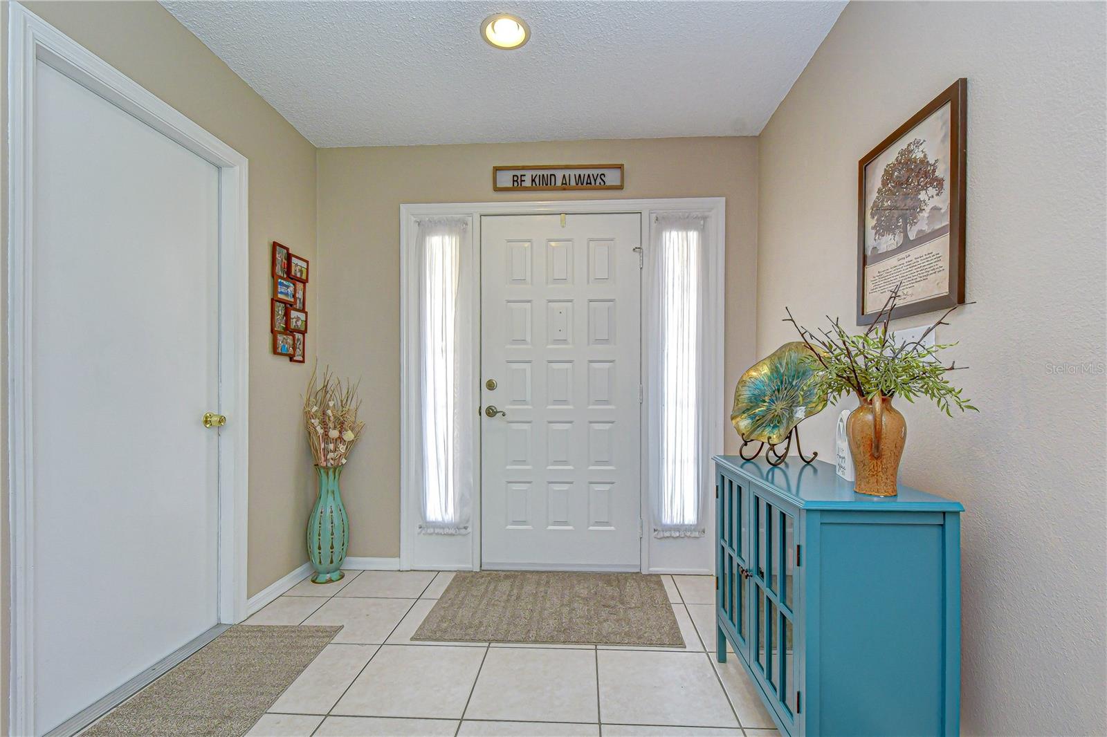 707 ORCHARD ISLE CT, VALRICO, FL, 33594