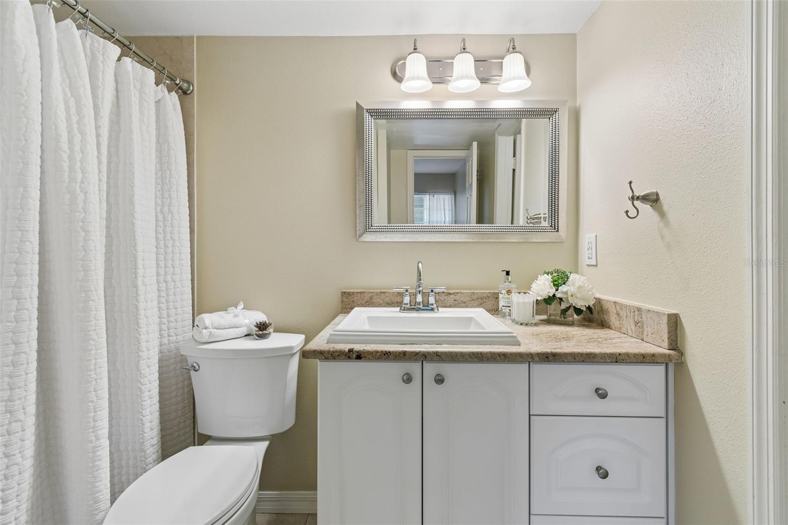 10340 CARROLLWOOD LN #163, TAMPA, FL, 33618