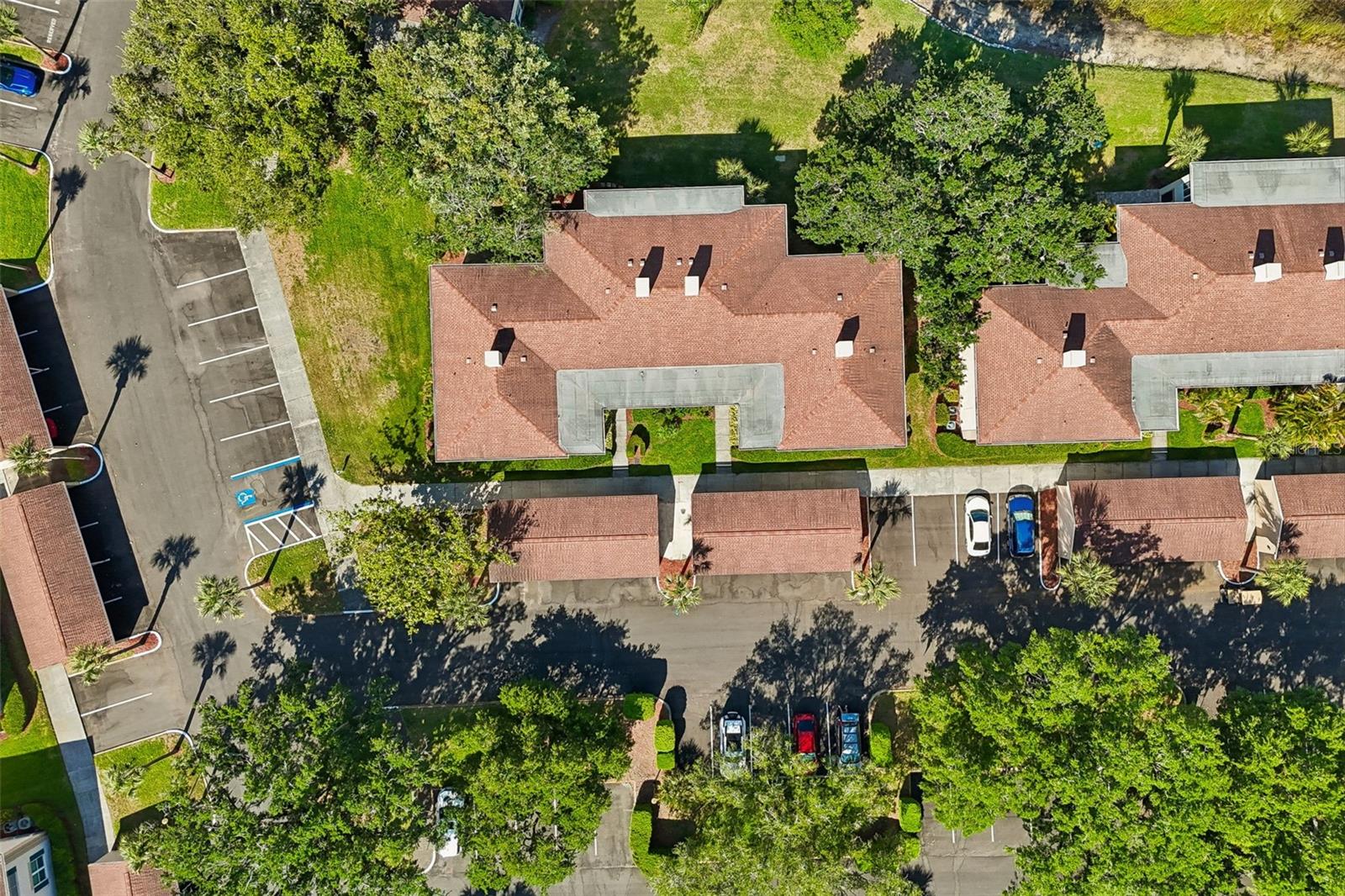 10340 CARROLLWOOD LN #163, TAMPA, FL, 33618