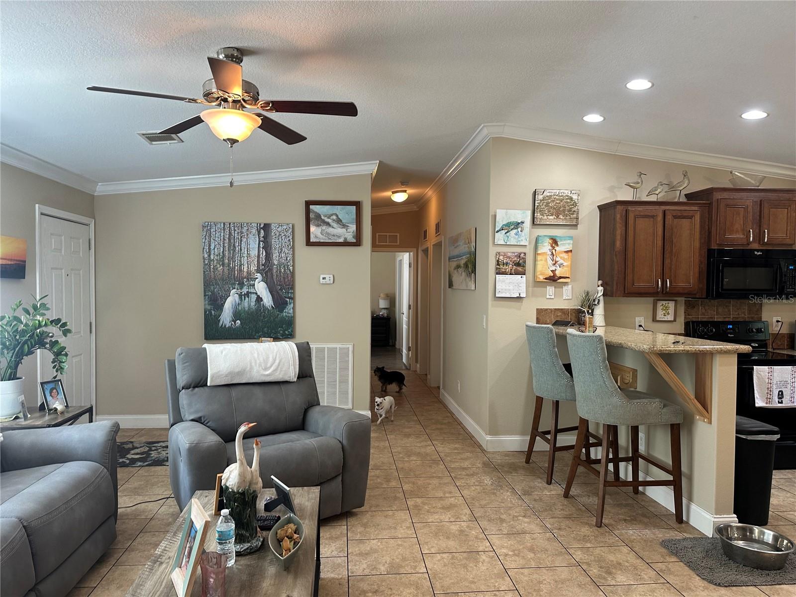 462 S DEW PLANT PT, CRYSTAL RIVER, FL, 34429