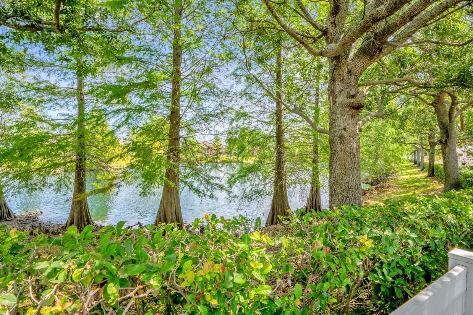 3440 GRENVILLE DR, WINTER HAVEN, FL, 33884
