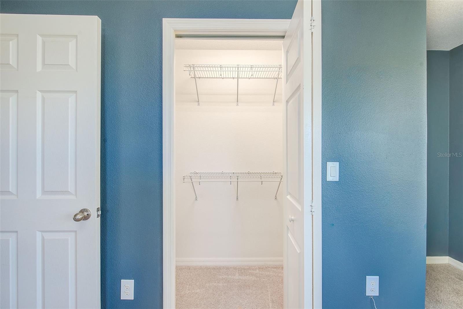 6905 TOWERING SPRUCE DR, RIVERVIEW, FL, 33578